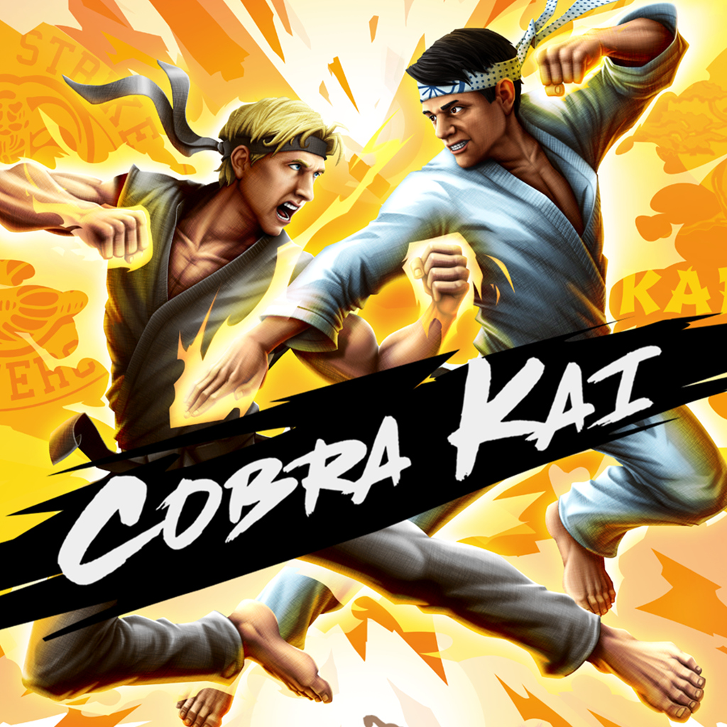 Cobra Kai The Karate Kid Saga Continues